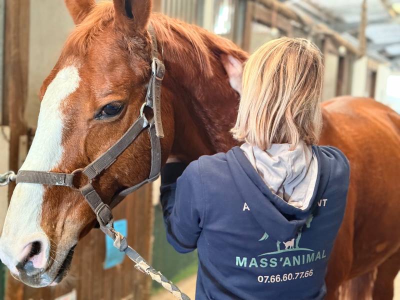 massage-cheval